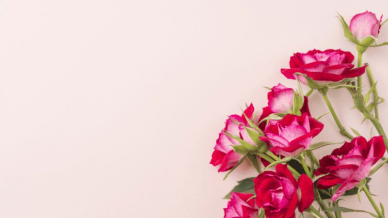 Μίλα μου για έρωτα: Έρωτας την άνοιξη